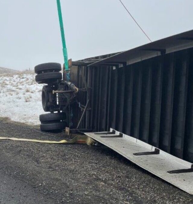 Quick Spill Cleanup of Hazardous Materials