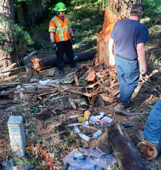 Pro-Enviro Cleans Up Smashed Debris