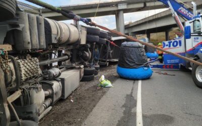 2021-10-23: Fast Cargo Recovery Gets Mushrooms on the Move