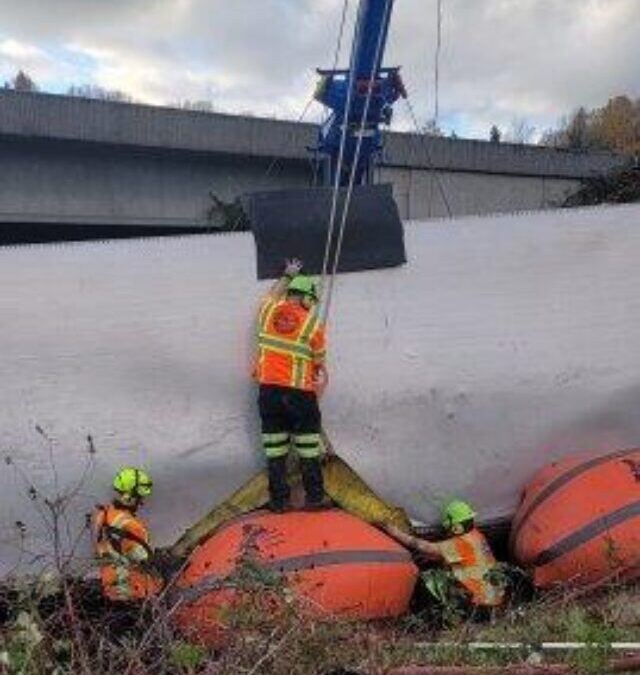 Mushrooms Saved with this Accident Recovery