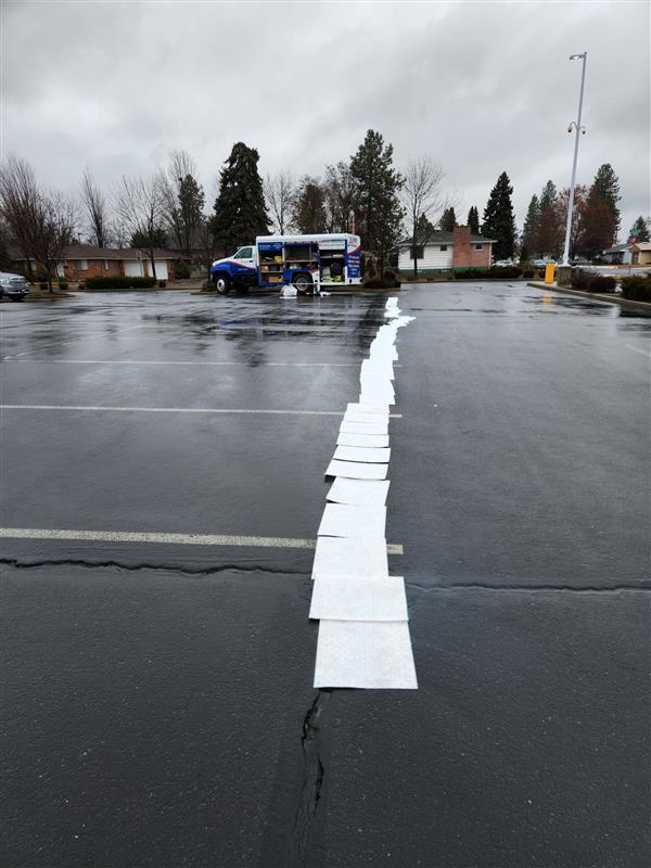 Absorbent Pads