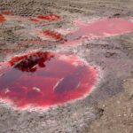 diesel spill pollution